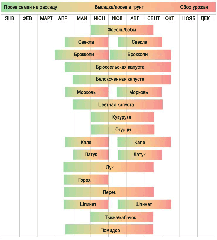 چوتھے زون میں کیا اگائیں