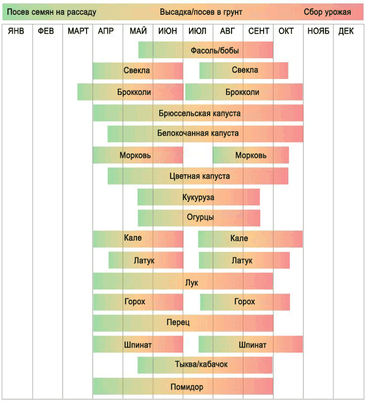 پانچویں زون میں کیا اگائیں