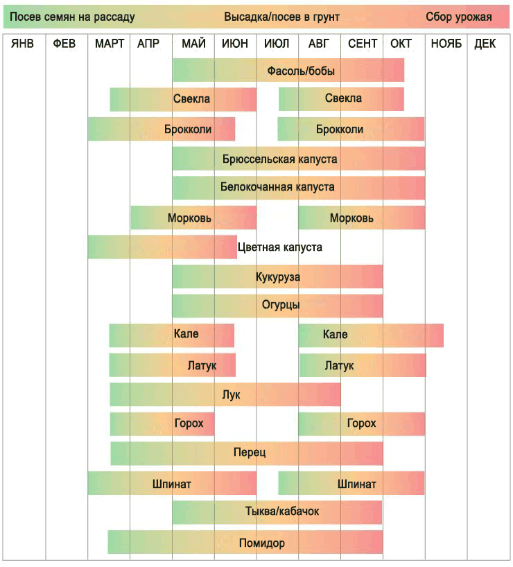 چھٹے زون میں کیا اور کب اگائیں