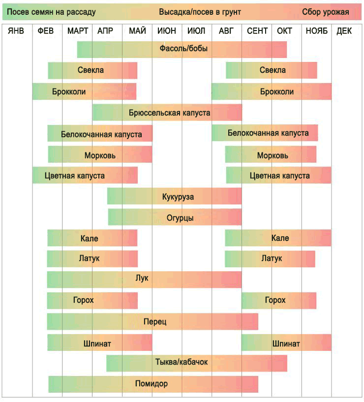 پودوں کا بوائی شیڈول سختی کے زونز کے مطابق